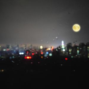 国产亚洲精品精品2020
